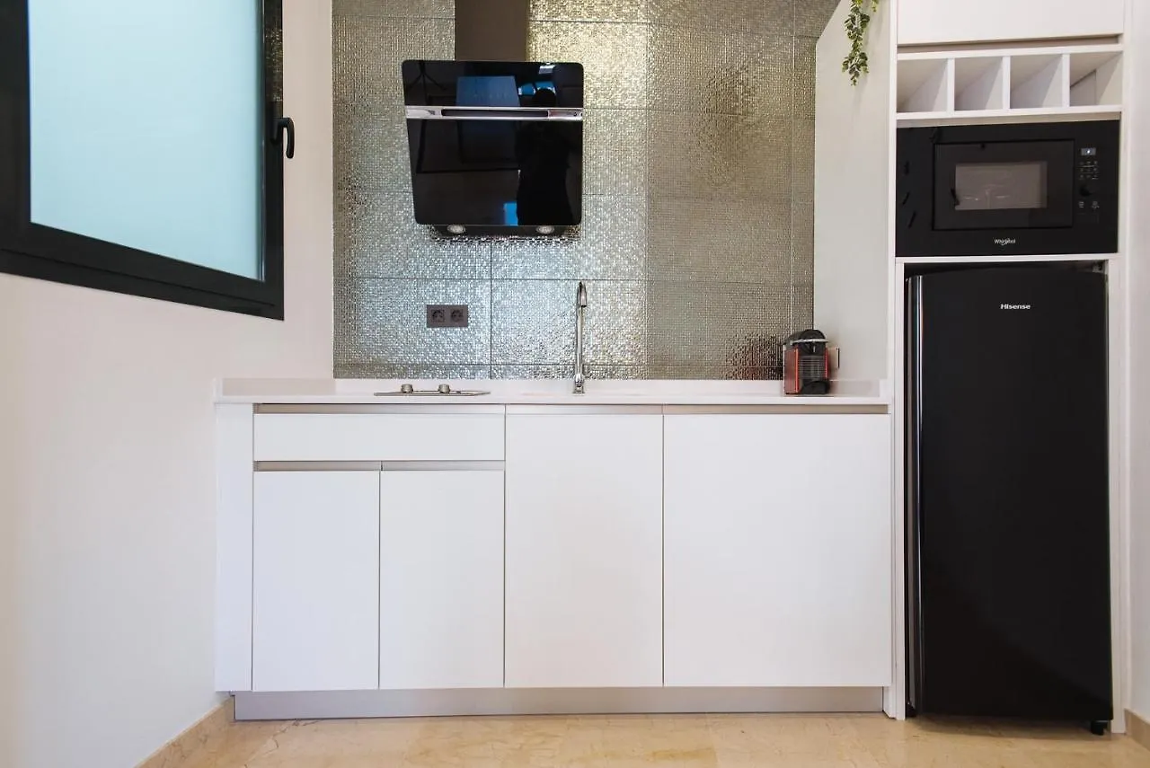 Guardamino Duplex Suite Apartment Seville