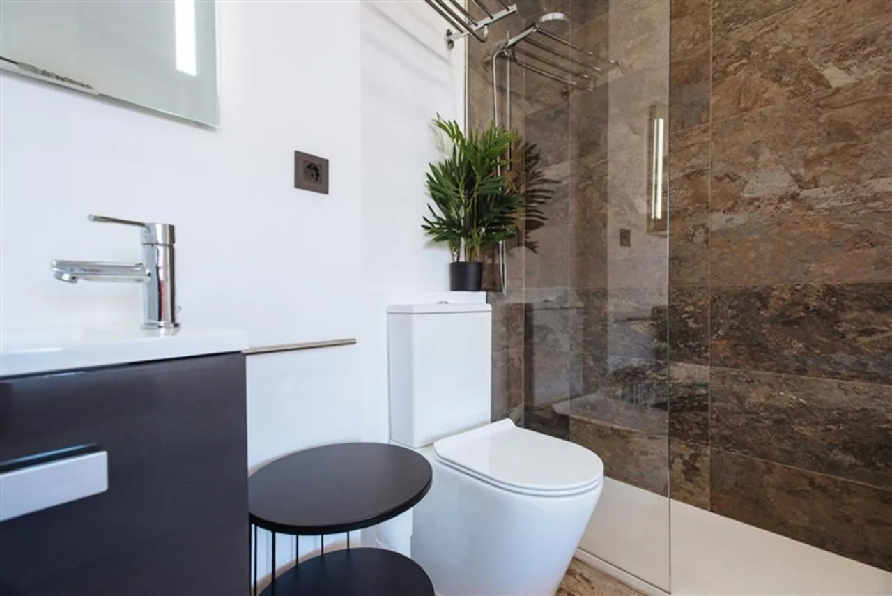 Guardamino Duplex Suite Apartment Seville 0*,